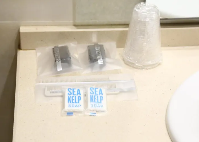 Gasthuis Real Plasencia